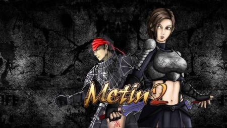 Metin2 Binekler 2024